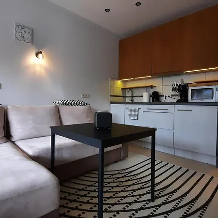 Apartamentai Su Terasa Rugelyje *